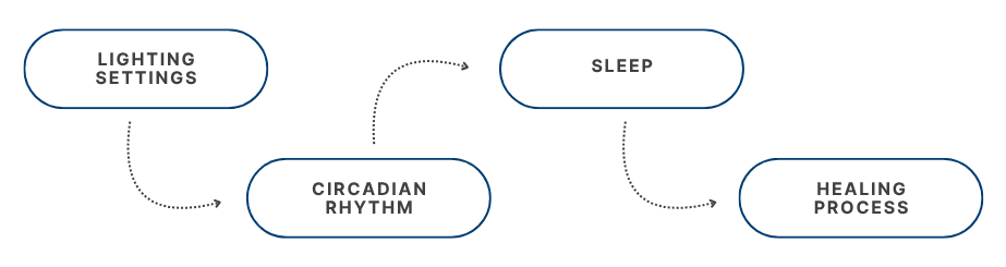 CircadianLux Flow Diagram: Lighting Settings → Circadian Rhythm → Sleep → Healing